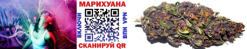 МАРИХУАНА план  где купить   Беломорск 